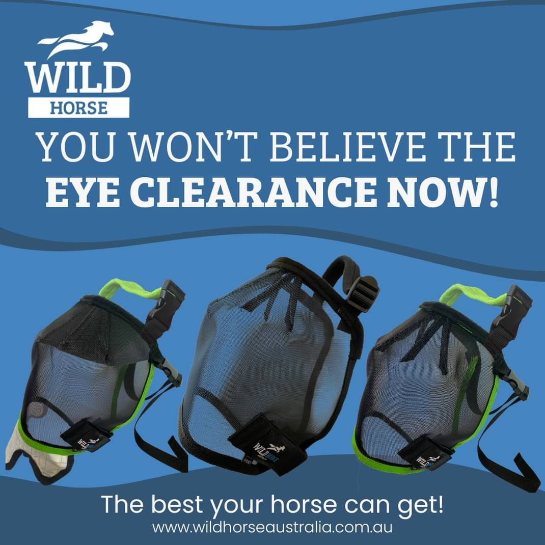 WILD HORSE AUS TRIPLE DART VEILS