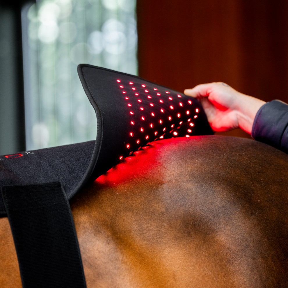The Horseware® LED Red Light Therapy Pad