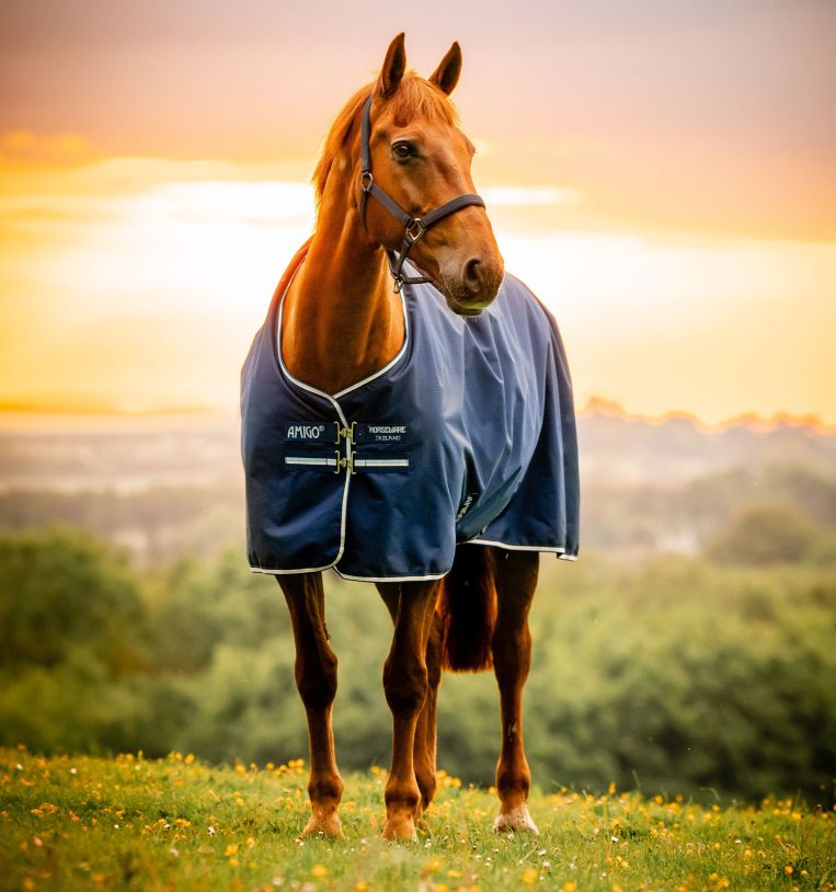 Amigo® Ripstop 900D Fleece Lined Turnout (50g Light) rug