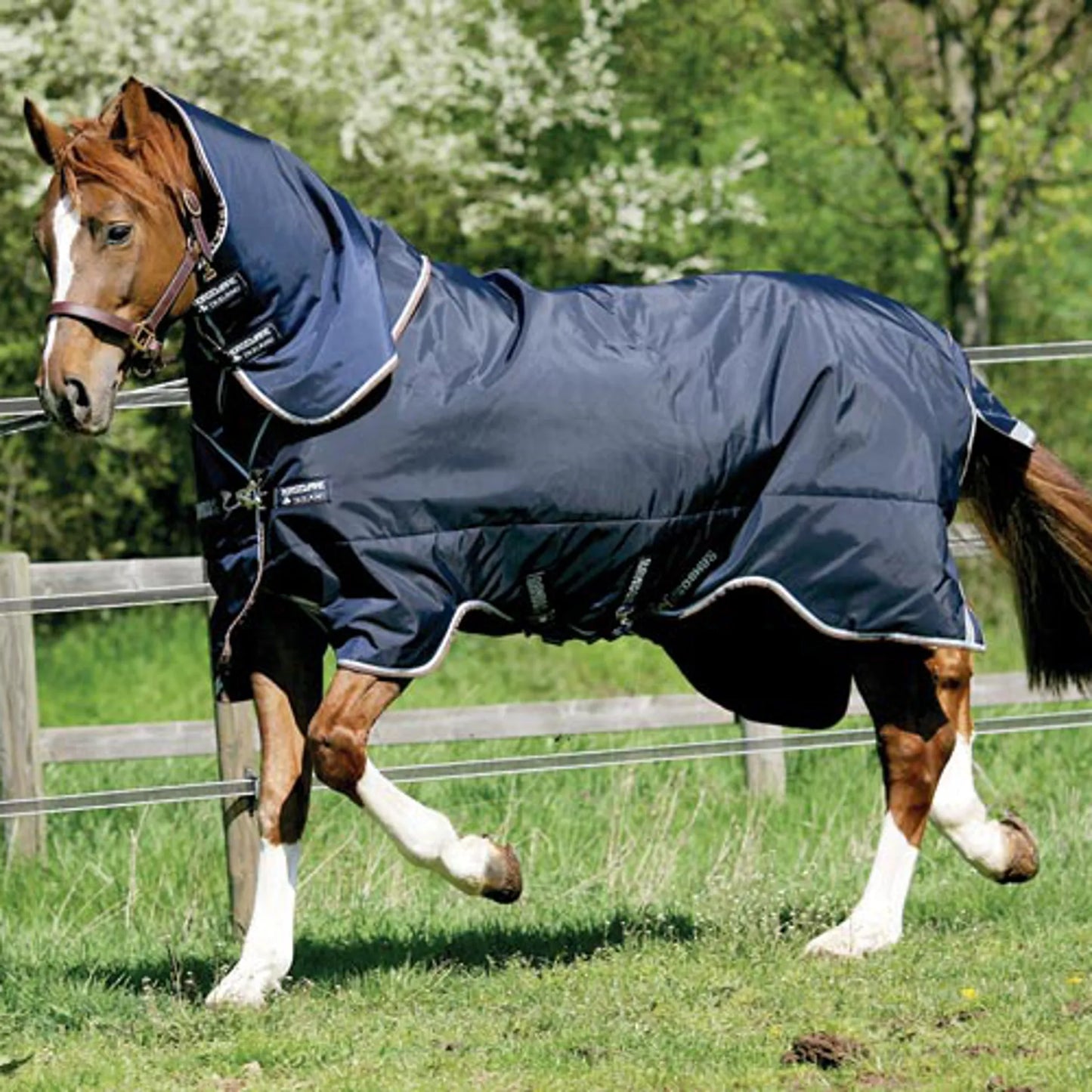 Rambo Duo Plus Turnout Bundle 10 Year Guarantee!
