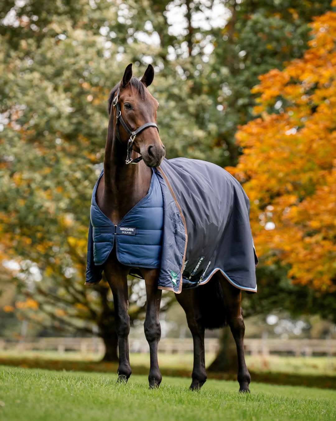 Rambo Duo Plus Turnout Bundle 10 Year Guarantee!