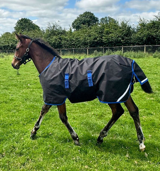 Amigo 50G Foal Rug 2026 Season's