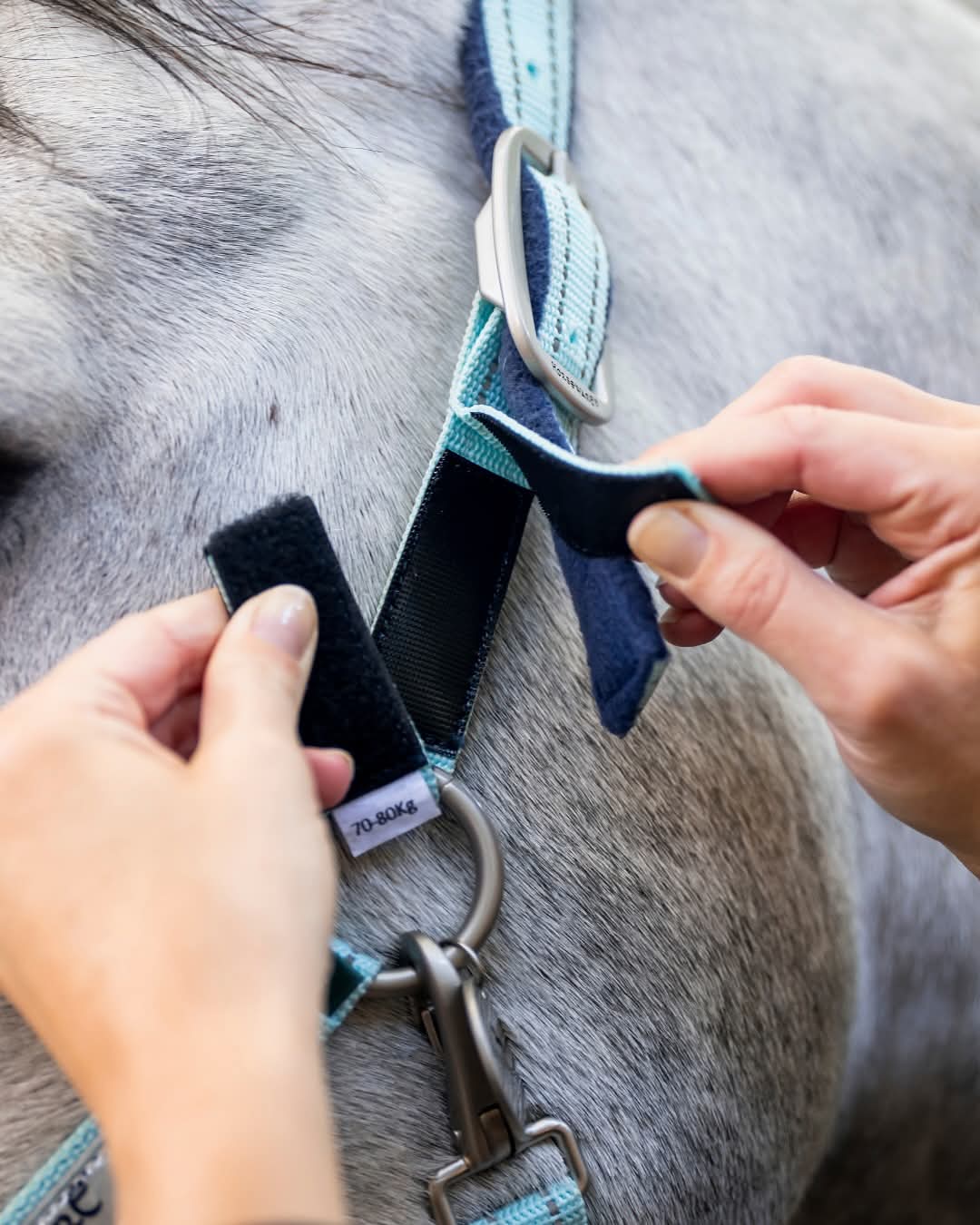 Horseware Field Safe Headcollar