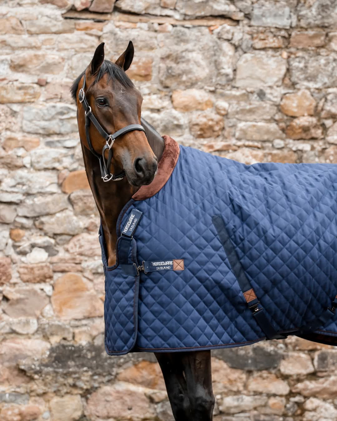 Horseware Signature Stable 200g