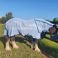AMIGO BUG RUG XL PLUS CLASSIC FRONT - Cut For The Heavier Horses