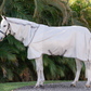 Amigo Integrated Fly Sheet