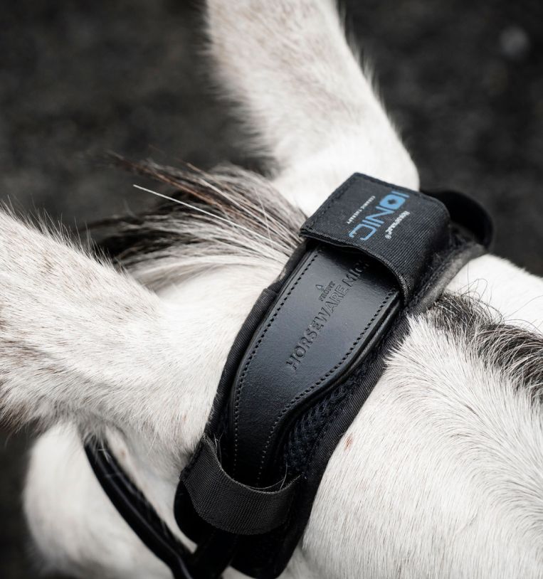 Horseware Ionic Poll Cover