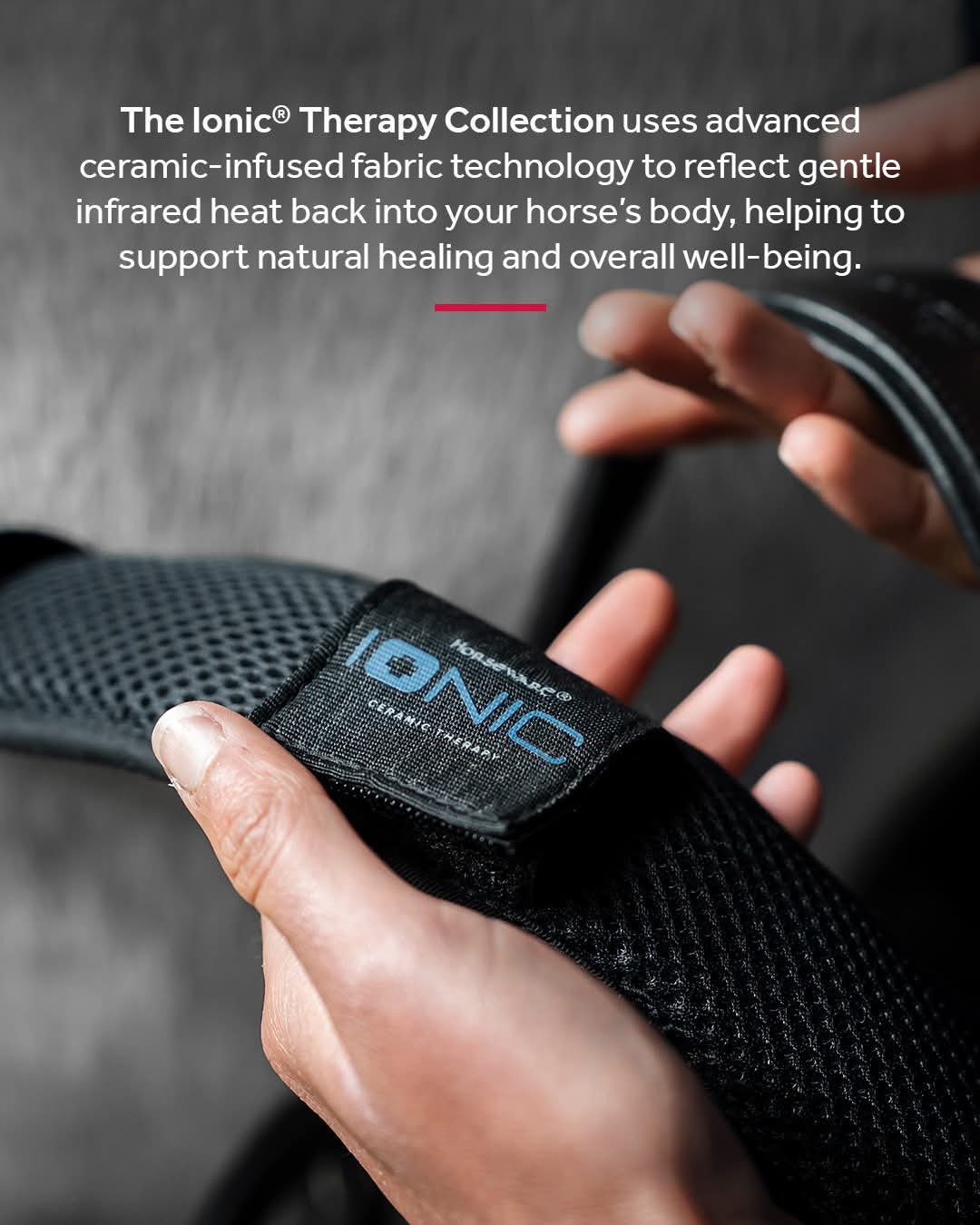 Horseware Ionic Poll Cover
