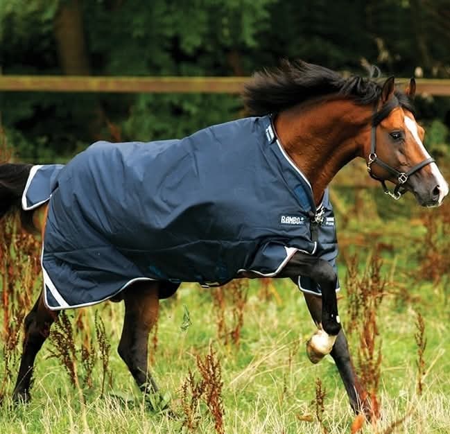 Rambo Duo Plus Turnout Bundle 10 Year Guarantee!