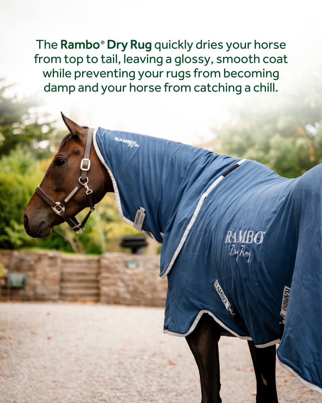 RAMBO SUPREME DRY RUG