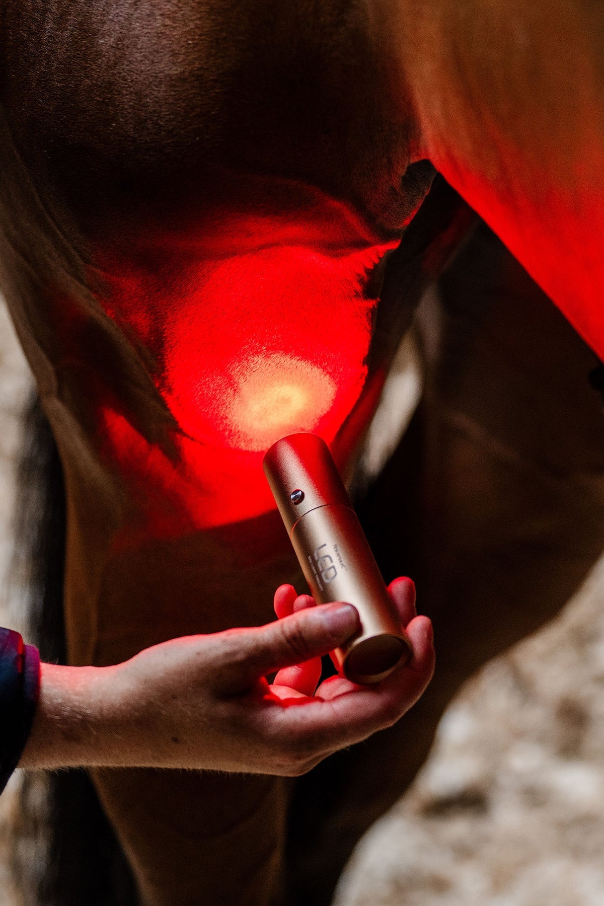 Horseware LED Red Light Therapy Wand