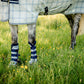Horseware Newmarket Fly Boots