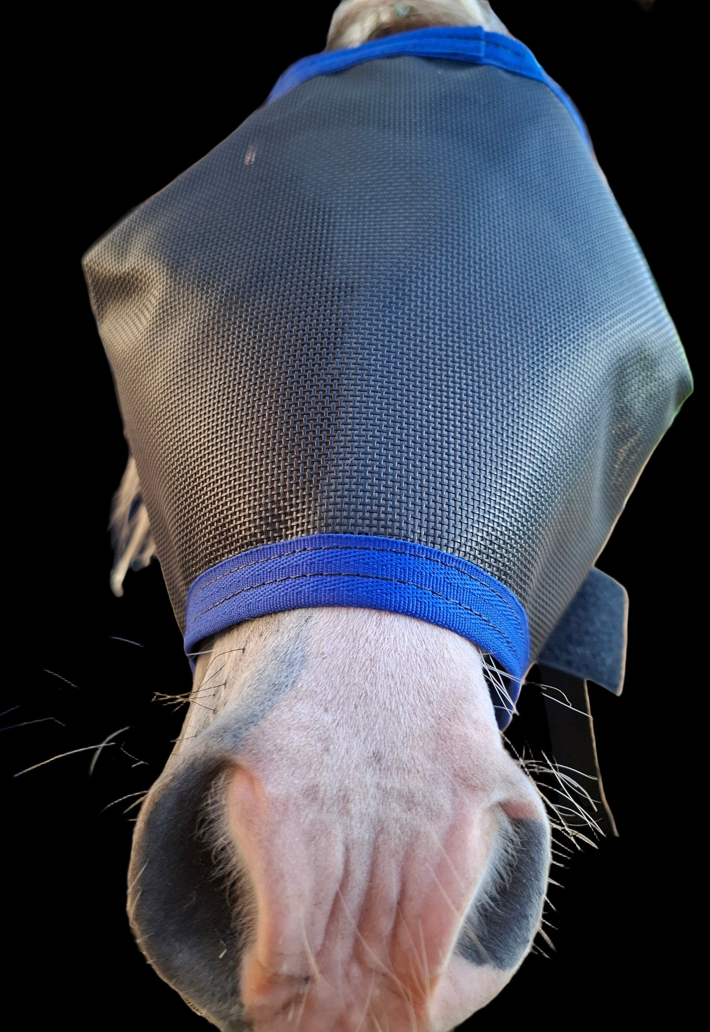 UV PROTECTION 2 PIECE PAIR. Wild Horse Veils With Nose Skirts