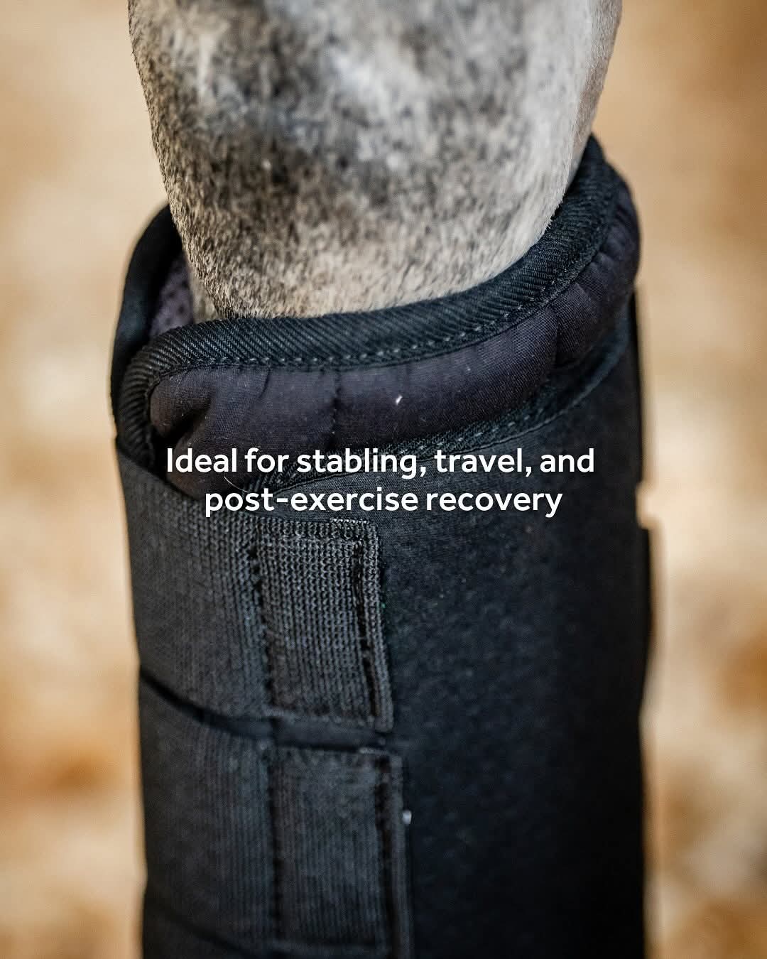 Horseware Pro Bamboo Stable Boots Pairs