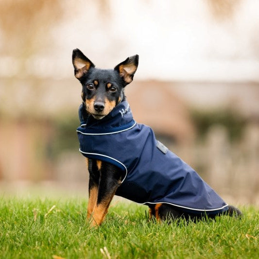 Horseware Signature Dog Rain Coat