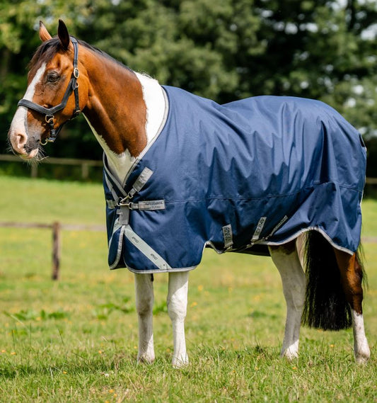 Amigo Bravo 12 XL Turnout 50G Body Rug with *FREE BONUS 0G NECK RUG