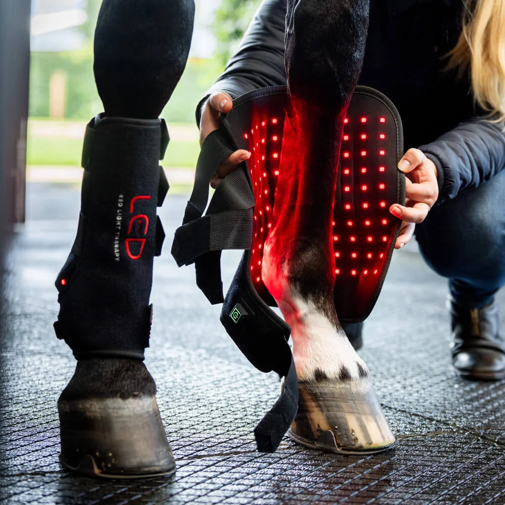 Horseware LED Red Light Therapy Leg Wrap