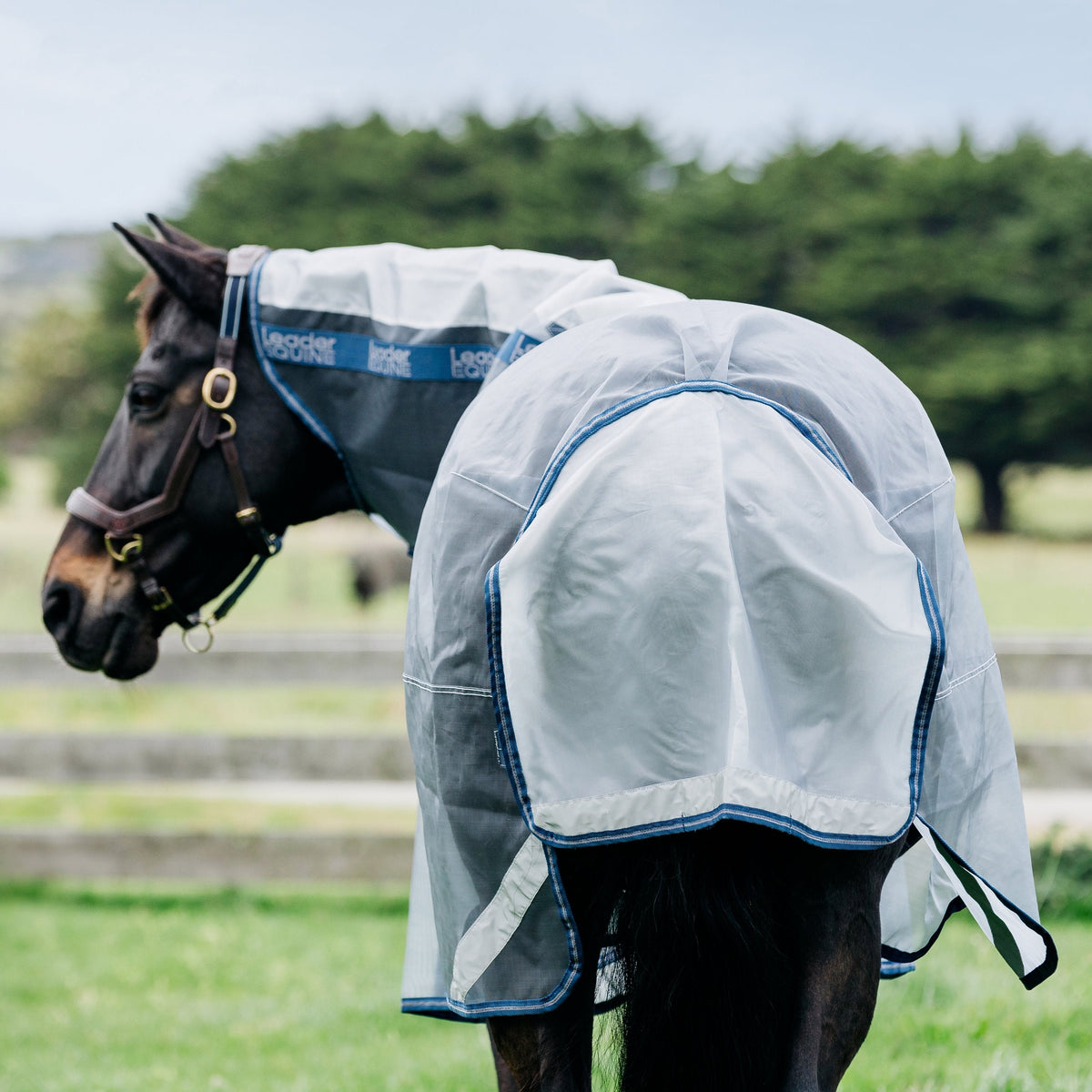 LE DEFENDER ANTI-INSECT RUG