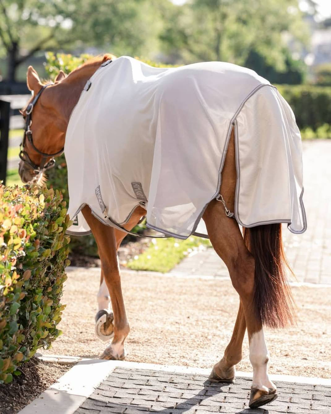 AMIGO BUG RUG XL PLUS CLASSIC FRONT - Cut For The Heavier Horses