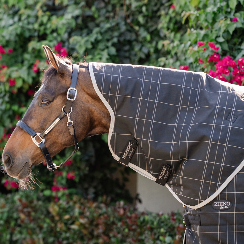 Rhino Stable Neck Rug 100g – ZENN EQUINE - Hard As Nails Horse Rugs
