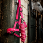 Horseware Newmarket Headcollar and Leadrope