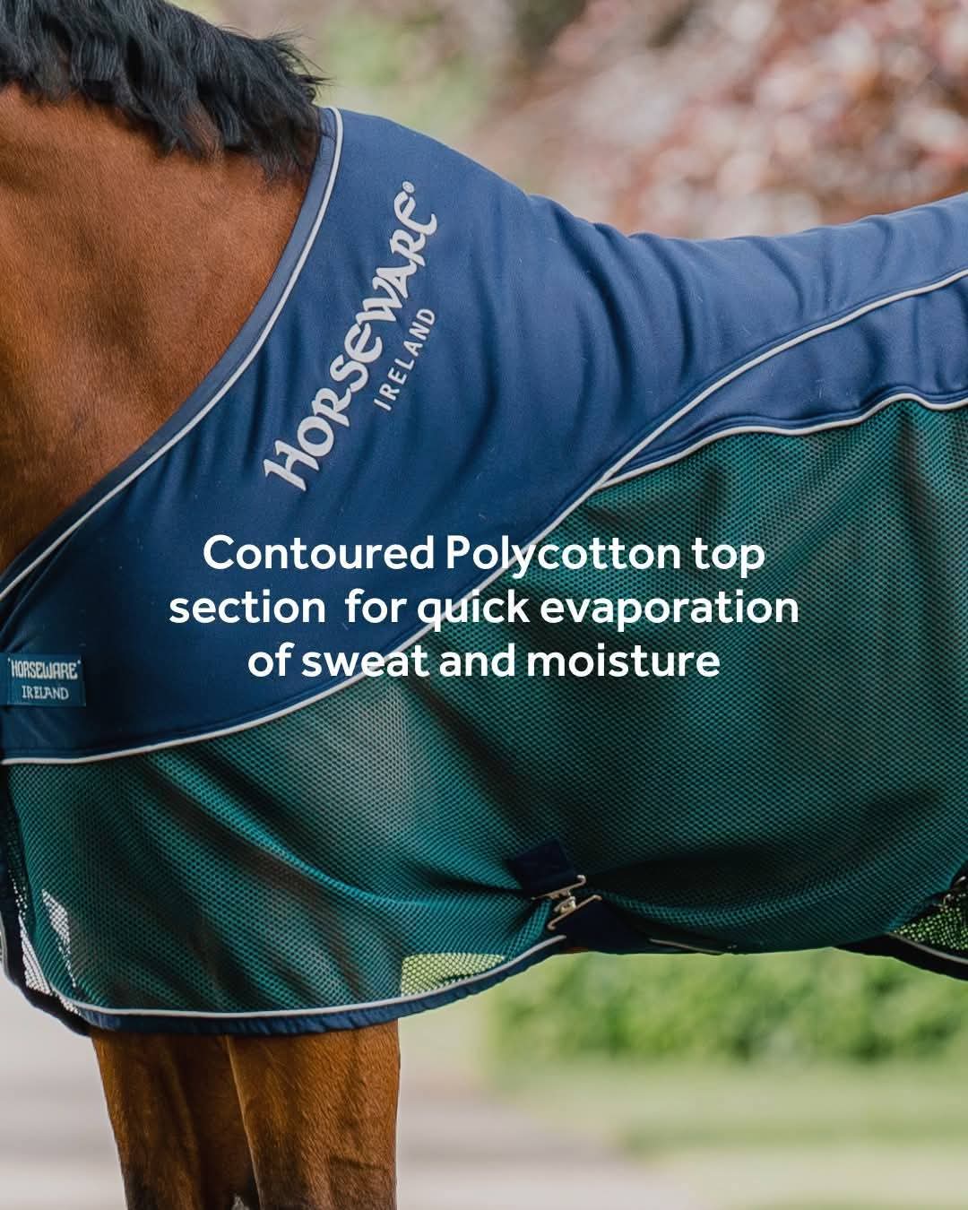 Horseware Ireland Signature Cooler