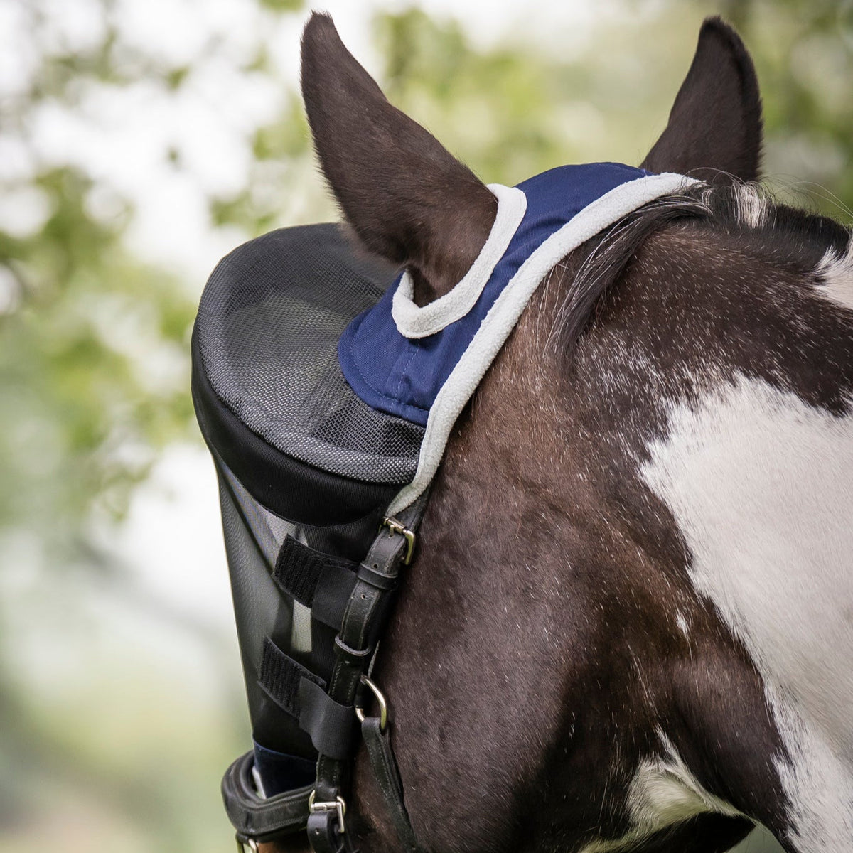 LE Riding Flymask