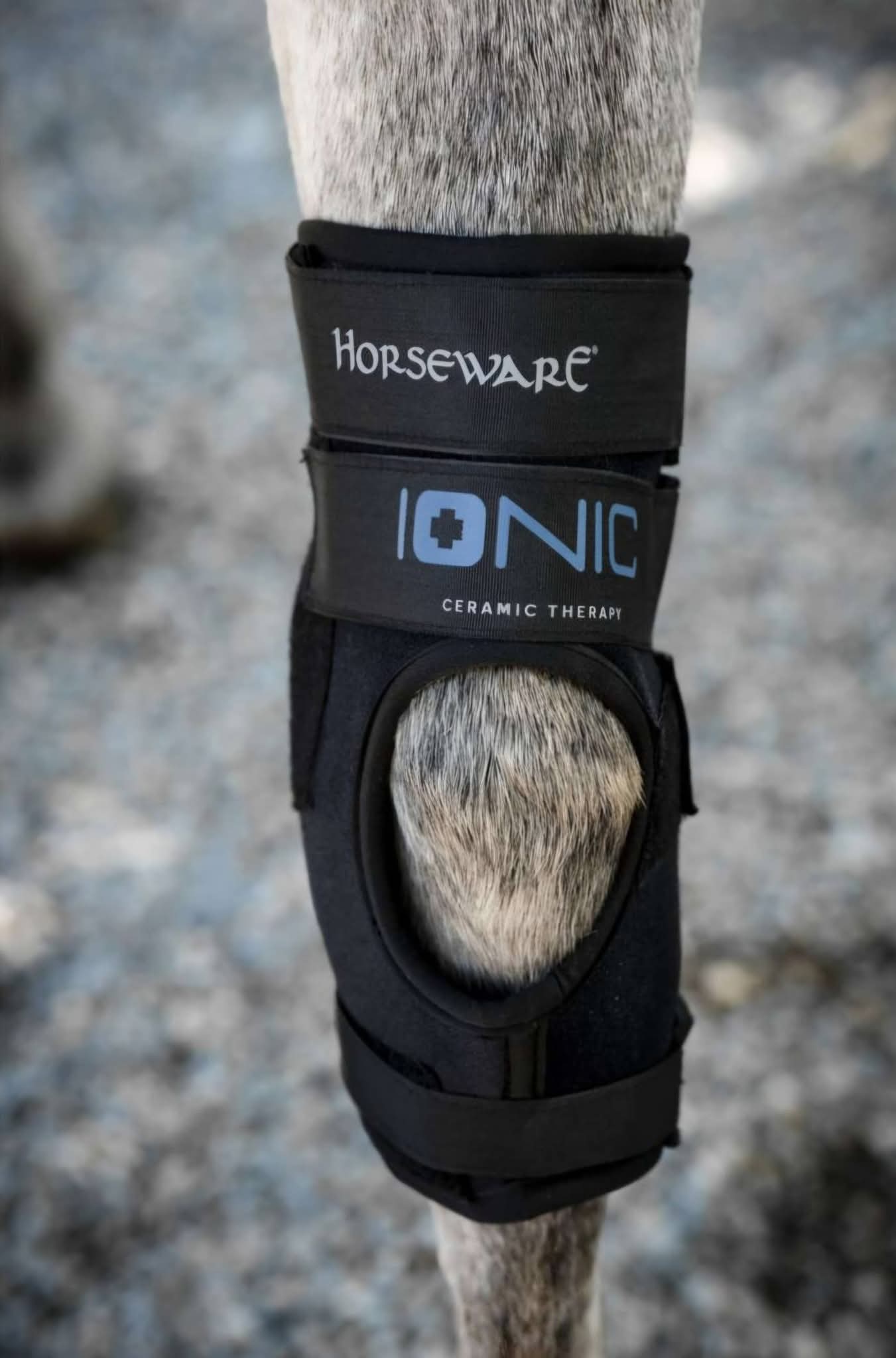 Horseware Ionic Hock Boots