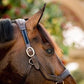 Micklem Leather Headcollar