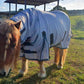 WILD HORSE MINI MESH
