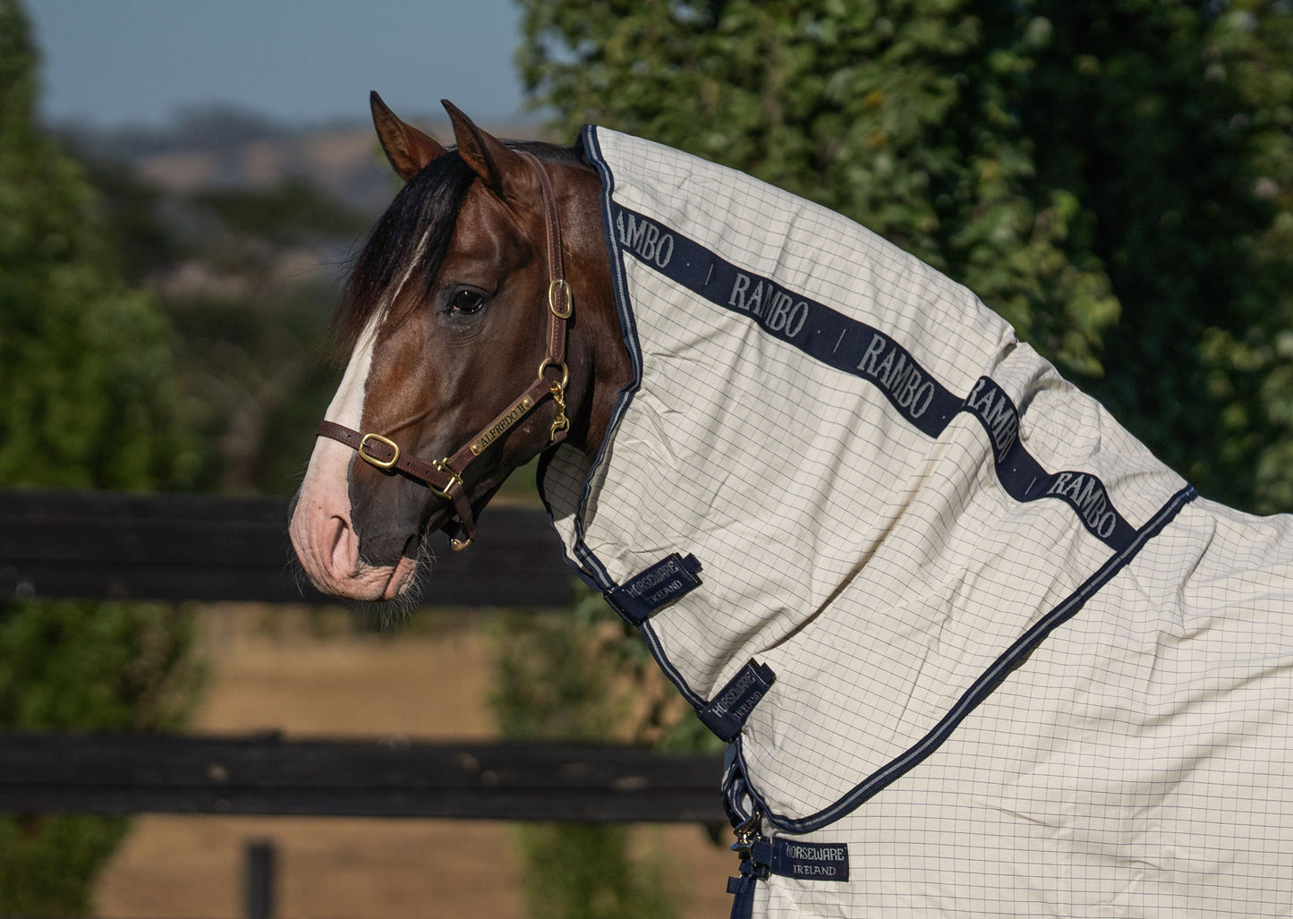 RAMBO ALLROUNDER V-FRONT CLOSURE