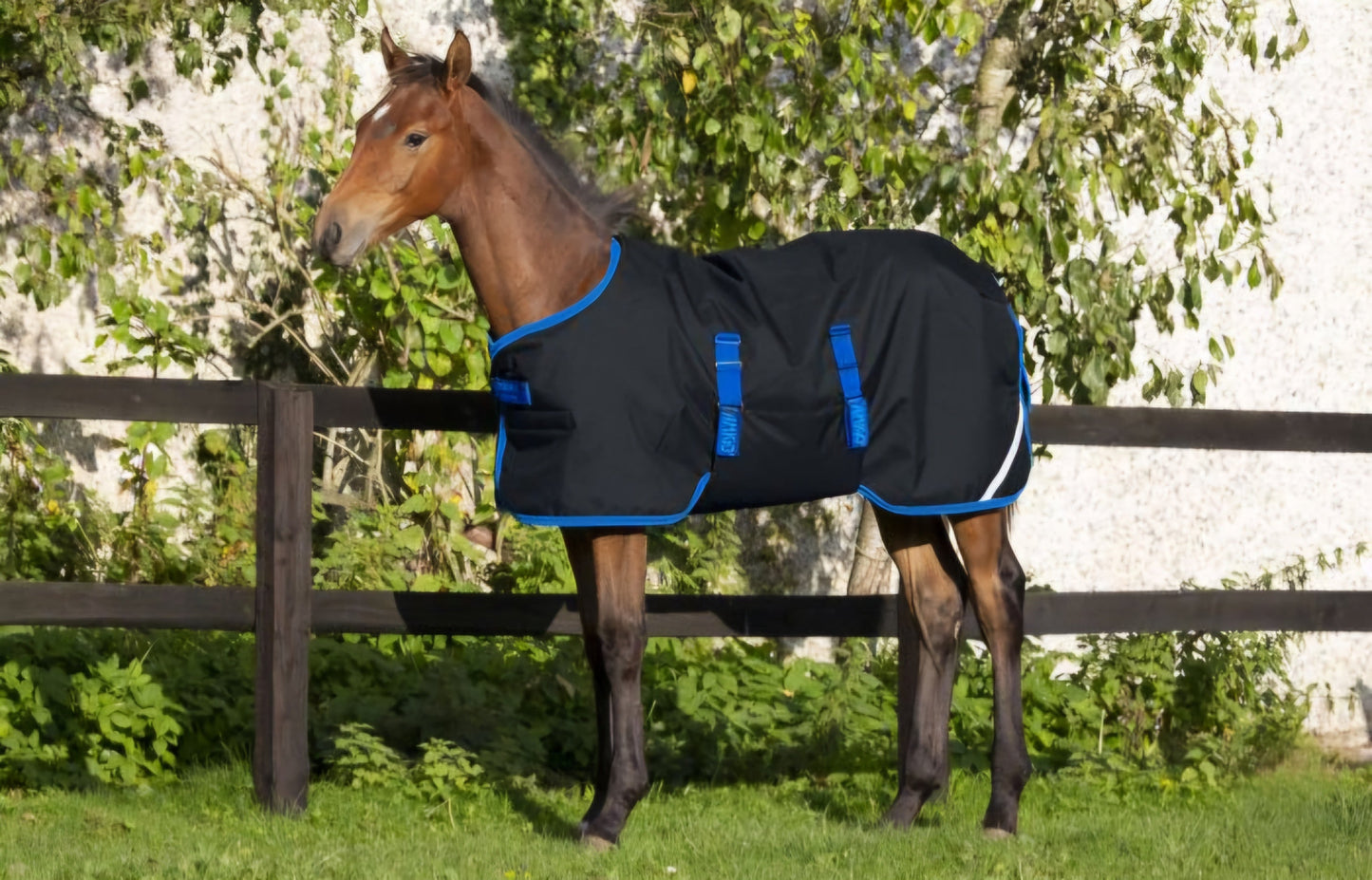 Amigo 50G Foal Rug 2026 Season's