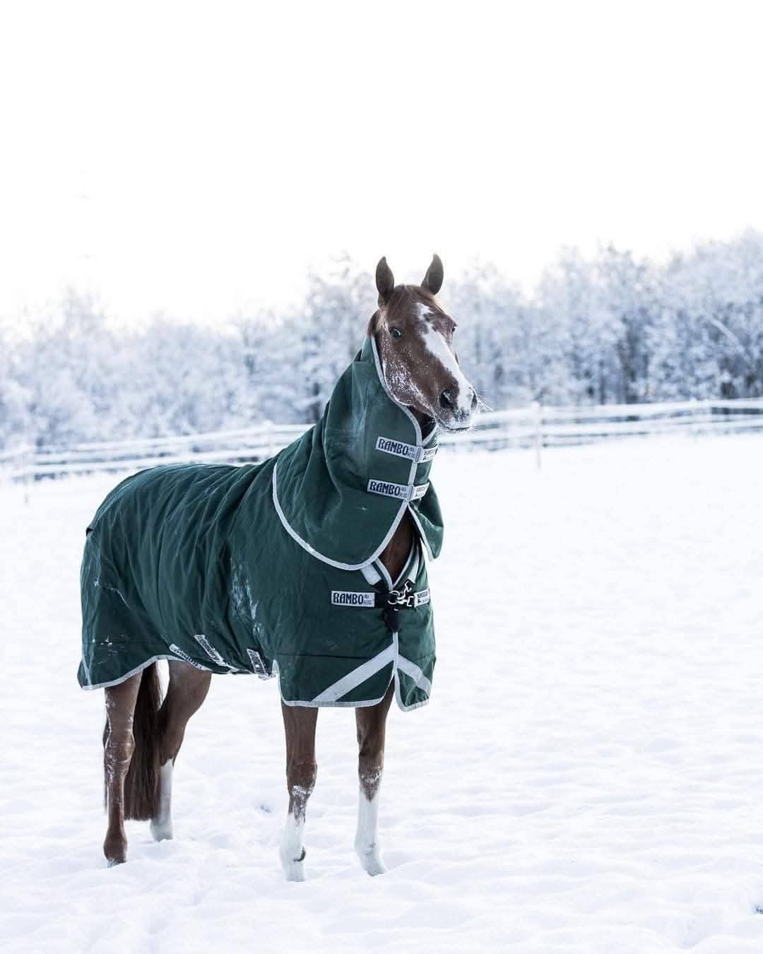 RAMBO ORIGINAL V-FRONT TURNOUT 0G or 100g WITH DETACHABLE NECK RUG