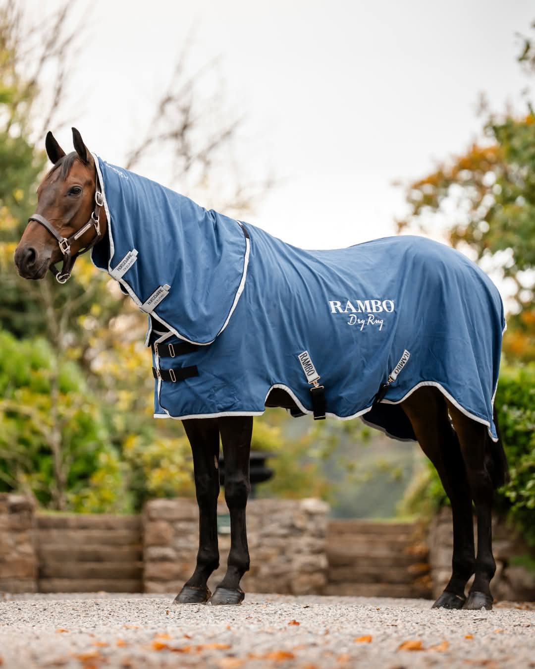 RAMBO SUPREME DRY RUG