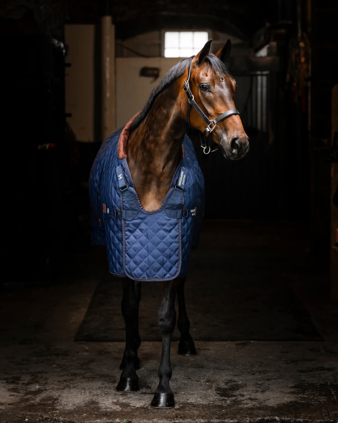 Horseware Signature Stable 200g