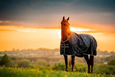 Amigo Ripstop 900D Turnout Neck Rug 0g