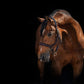 Micklem Leather Headcollar
