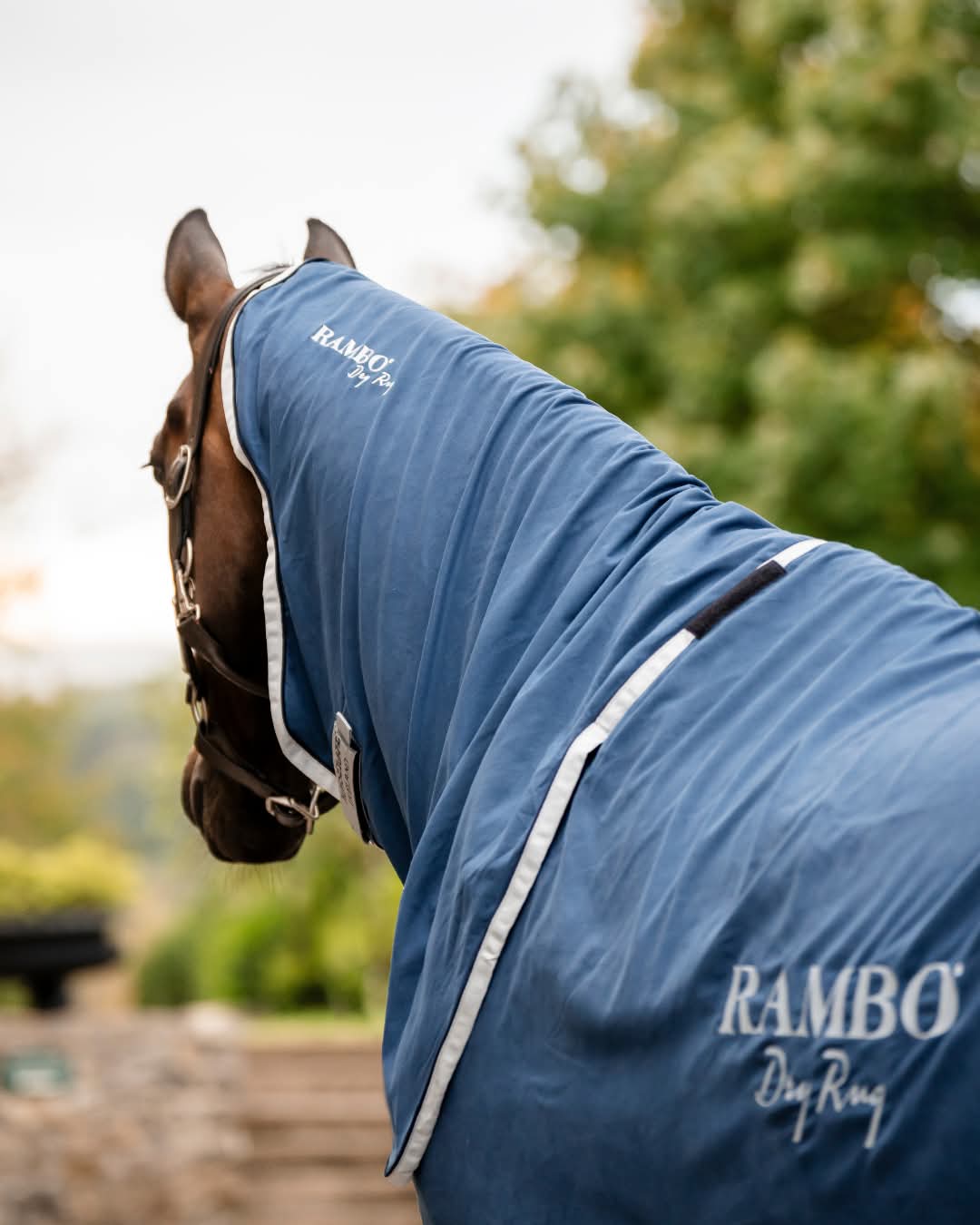RAMBO SUPREME DRY RUG