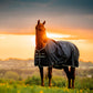 Amigo Ripstop 900D Plus Pony Turnout 200g