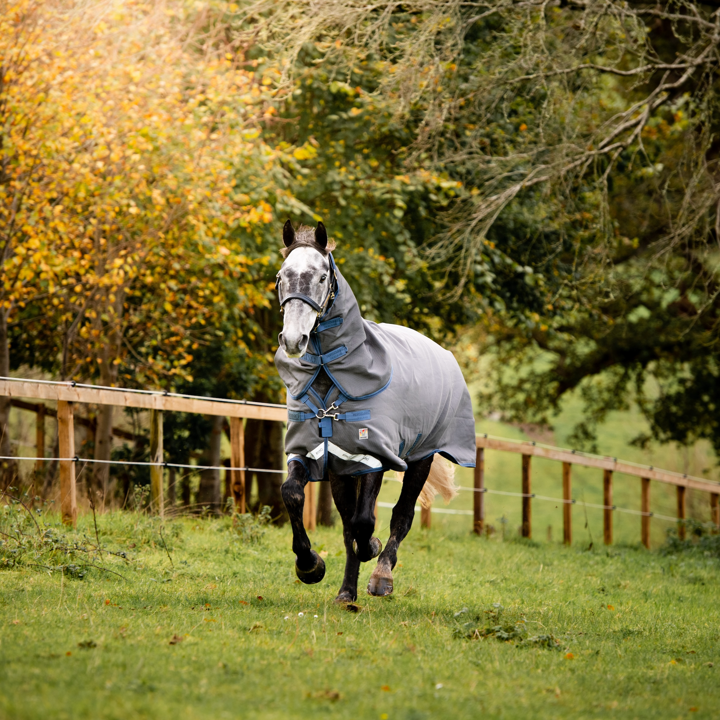 Rhino Hexstop 100g Turnout