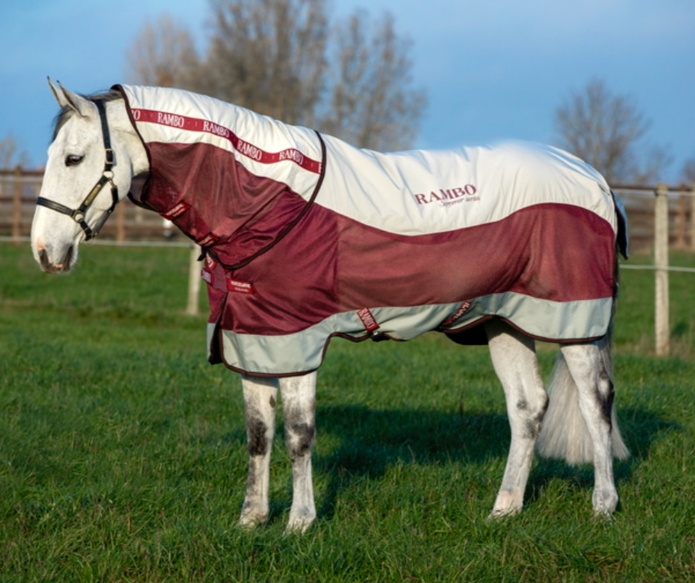 Rambo Summer Series V-Front