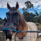 UV PROTECTION 2 PIECE PAIR. Wild Horse Veils With Nose Skirts