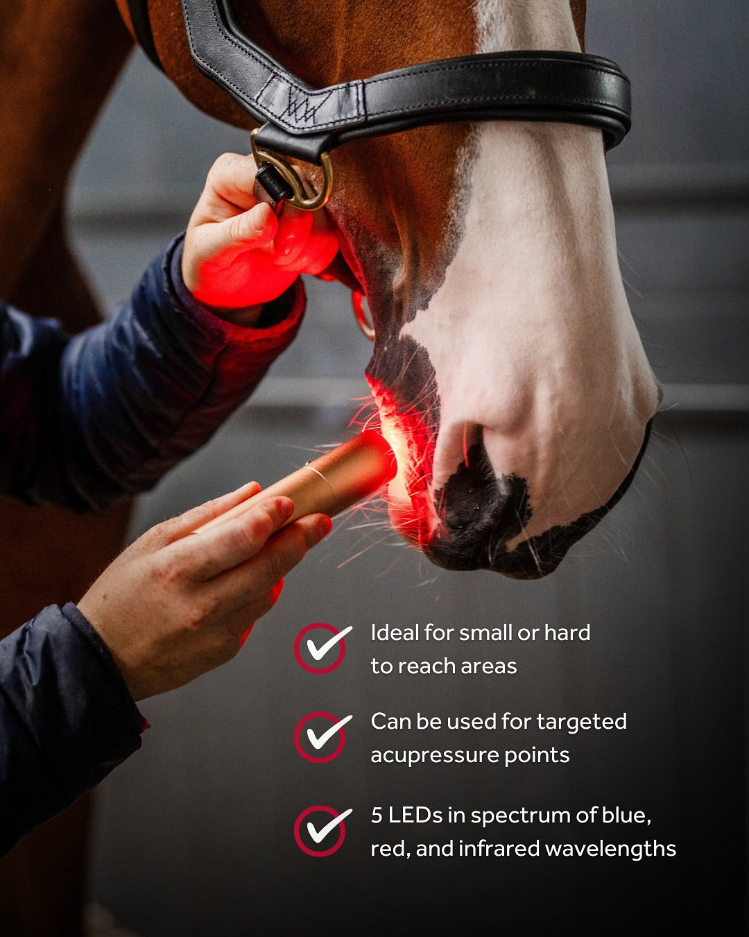 Horseware LED Red Light Therapy Wand