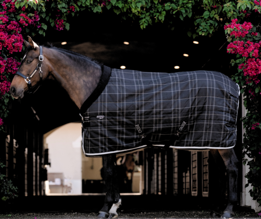 Rhino Stable 100g Rug