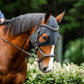 Horseware Ionic Calming Face Mask