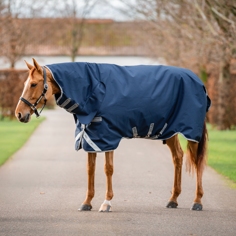 Amigo 1200D Integrated Turnout 0g
