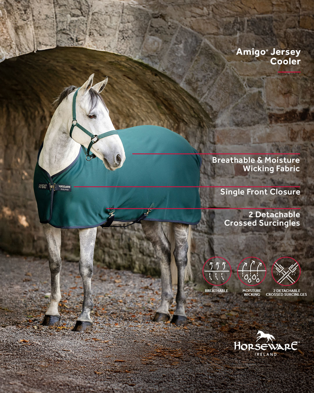 Amigo Jersey Cooler