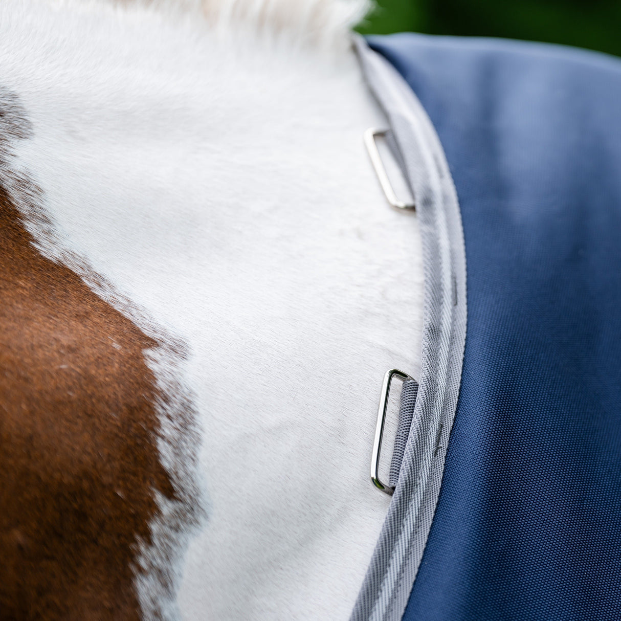 Amigo Bravo 12 XL Neck Rug 0G