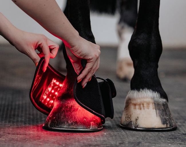 Horseware LED Red Light Therapy Pastern Mini Wraps - PAIRS