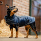 Horseware Signature Dog Rain Coat